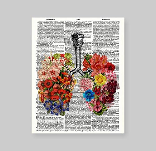 8x10 Непознати цветни бели дробови Човечка анатомија, надградена гроздобер речник за уметности за печатење уметност за печатење домашен декор wallид уметност v101