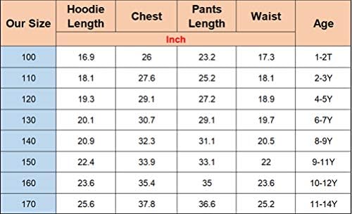 By-Can Little/Big Kids Bassic Hoodie Pullover Tops & Pantans Pants Pants, Apex Legends Облека со долги ракави Трака за деца за деца