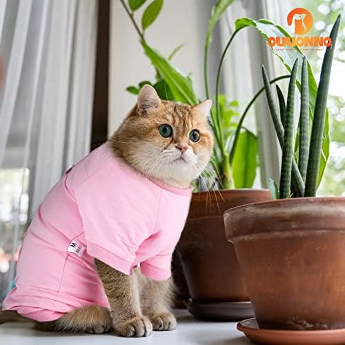 Обезбедување на мачки Оуонно за абдоминални рани или заболувања на кожата, алтернатива за е-јака за мачки, по операција на абење, пижама